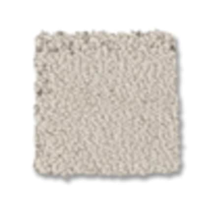 Shaw Glen Cove Wool Pattern Carpet with Pet Perfect-Sample